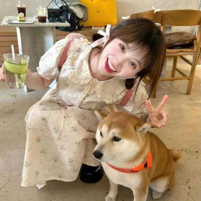 妖狐苏妲己